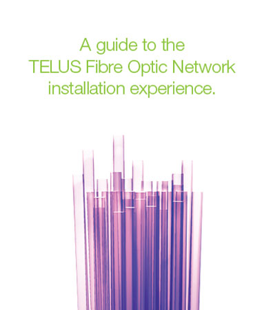 Fibre Optic Network Guide